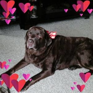 Meet your Posher, Kathy